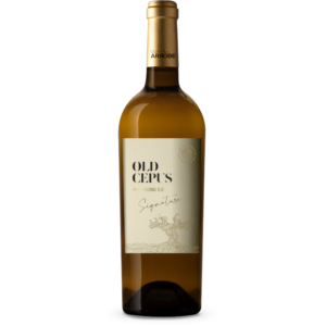 OLD CEPUS SIGNATURE I.G.T. Tejo